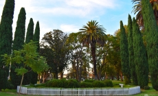 Torrance Park