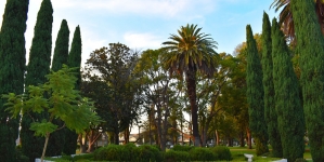 Torrance Park