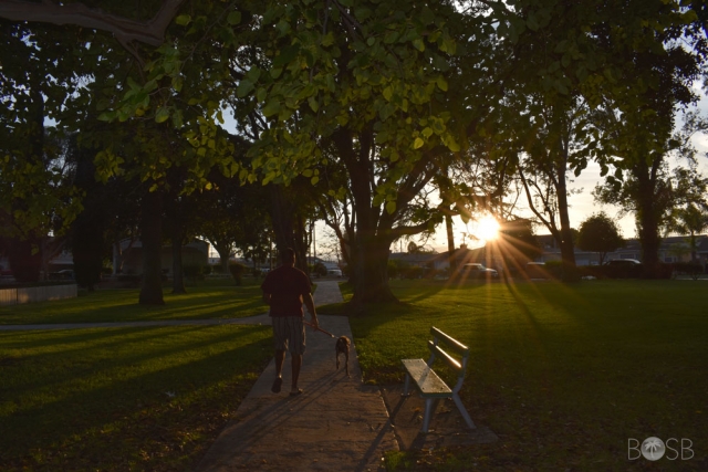 Torrance Park