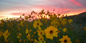 White Point Nature Preserve & Park