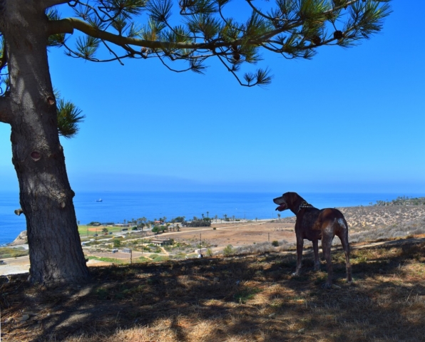 White Point Nature Preserve