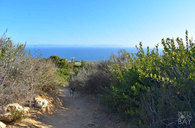 Forrestal Nature Reserve-Ladera-Linda-2