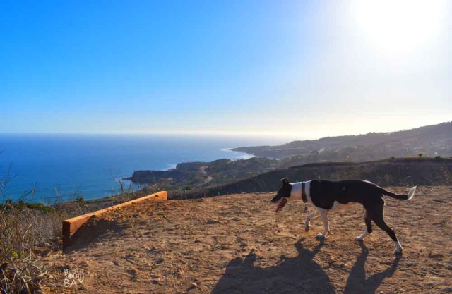 Forrestal Nature Reserve-Ladera-Linda
