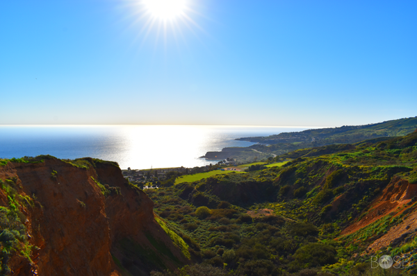 Forrestal Reserve