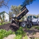 Free Mulch to Los Angeles City Residents