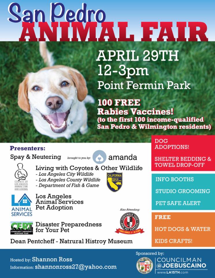 Animal Fair