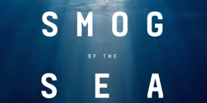 Movie at the Cabrillo Marine Aquarium