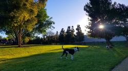 Eastview Park