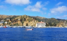Day Trip: Avalon, Catalina Island