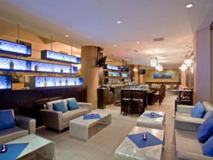 Live Jazz @ Blu Restaurant Bar & Lounge | Los Angeles | California | United States