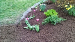 Free Mulch to Los Angeles City Residents