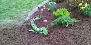 Free Mulch to Los Angeles City Residents