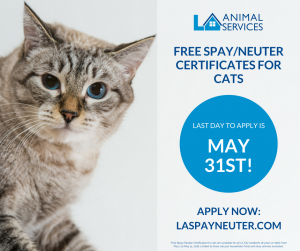 Free Cat Spay/Neuter for LA City Residents @ Los Angeles | California | United States