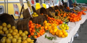 Farmers Market Guide to the South Bay