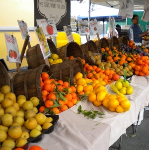 Farmers Market Guide to the South Bay