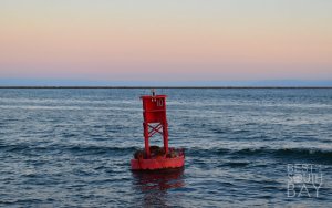 See the Sea - Floating Oceanography Lab @ Cabrillo Marine Aquarium | Los Angeles | California | United States