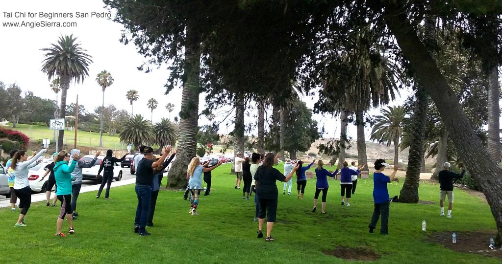 Ocean View - Free Tai Chi for Beginners @ Wilders Addition Park | Los Angeles | California | United States