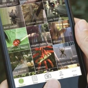 iNaturalist 101 Training @ Cabrillo Marine Aquarium | Los Angeles | California | United States
