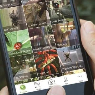 iNaturalist 101 Training