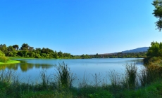 Ken Malloy Harbor Regional Park & Machado Lake